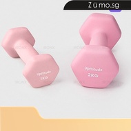 Hexagonal Dumbbell Women's Fitness Little Dumbbell Matte Finish Weights Dumbbell Small Weight