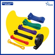 STARLIGHT Workout Resistance Bands Set Gym Equipment for Fitness Training and Exercise For Home Gym