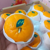 ส้มไต้หวัน Size XL ส้มแมนดาริน ไต้หวัน Mandarin Orange (ยกลัง6-7KG/ไซส์XL/ ประมาณ 30ลูก) ส้มพันธุ์ที