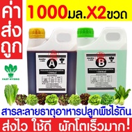 *ค่าส่งถูก* สารละลาย AB ไฮโดรโปนิกส์ เอบี ธาตุอาหาร น้ำ ผักไฮโดร Hydroponics ผักสลัด ผักไทย ผักจีน ป