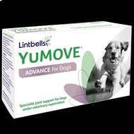 [[ส่งฟรี]] Lintbell Yumove advance 360 Dog แพ็คเกจใหม่ (แบ่งขาย) บรรจุแผงละ 20 เม็ด (หมดอายุ01/2024)