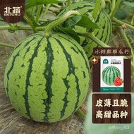 North Vegetable Rock Sugar KIRIN Watermelon Seed Super Sweet Fruit Seed North Vegetable Sugar Kirin Melon Seeds50Granule