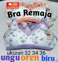 Bra Bh Tanpa Kawat Sport Bra Abg Remaja Cup Kecil Print Bunga Caresby