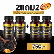 มันงาดำสกัดเย็น ผสม คอลลาเจน ปวดข้อ ปวดเข่า เข่าเสื่อม รูมาตอยด์ กระดูกพรุน Black Sesame Oil mix Co