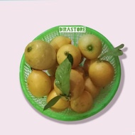 Jeruk lemon lokal fresh 1kg