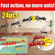 【Strong Ant Medicine】BS Ant bait Ant killer Ant poison 100 years without ants Ant trap Anti ant Ant 