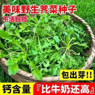 Wild Vegetable Seeds Farm Big Leaf Spring Wild Vegetable Seeds Autumn Winter Four Seasons Sowing Veg