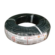 สายไฟ NATION รุ่น VCT 2x4 NATI