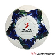 LEMONTREE9GP 2pcs Soccer Ball, PVC Size 4 Training Soccer Ball, Portable With  Bag With Gas Pin|Stit
