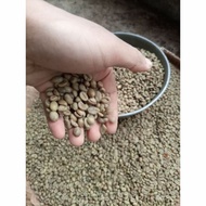 kopi biji robusta temanggung green bean robusta kopi mentah - 1 kg