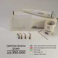 Dental Scaler Optional Dental Unit GNATUS