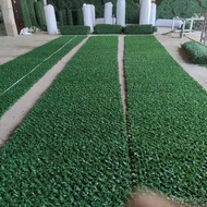 Plant Fence Net Decoration Simulation Decoration Simulation Wholesale Fence Fence Fence Loose Needle