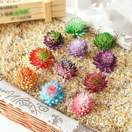 CYBERLINX 2pcs Artificial Succulent Plants, DIY Mini Fake Succulent Flocking Plants, Micro Landscape