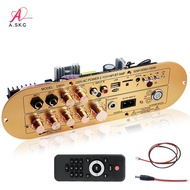 [COD] Channel Audio Amplifier D900 2.1 10M Port Home Theater Audio Receiver Board for AUX USB Microp