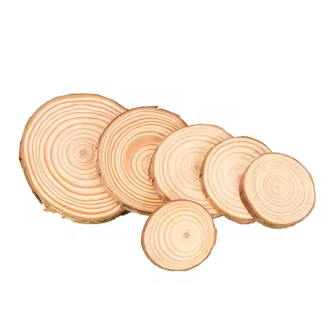2-12cm Thick Natural Pine Round Unfinished Wood Slices Circles With Tree Bark Log Discs DIY Crafts R