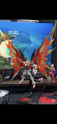 Metal build destiny gundam heine custom 連mc光翼
