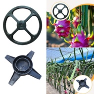 [mcfsnzwtxz1bw] Dragon Fruit Trellis Plant Trellis for Potted Plants Dragon Fruit Potted Planting To