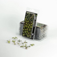 Gamers Grass - GGLP-MT - Laser Plants Monsterra
