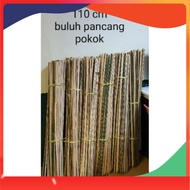 25 BATANG BULUH PANCANG POKOK BUNGA SAYUR MENJALAR - Bamboo Plants Stakes