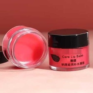 MINI LIP BALM LIP BALM LIP BALM HYDRATE LIPS