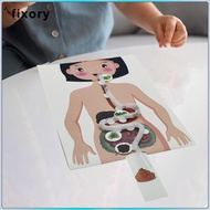 fixory Human Digestive System Model, Body Parts Simulation, Early Education, Organs, 3D Puzzle, Huma