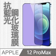 APPLE iPhone12 Pro Max 6.7吋 護眼抗藍光高清防爆全滿版鋼化膜