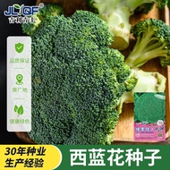 [Local Growing] Broccoli Seeds Broccoli Seeds Autumn Broccoli Seeds Broccoli Seeds Broccoli Seeds Br