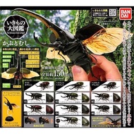 Gashapon Bandai Kuwaita Hercules Beetle Action Vol.01 Animal Model