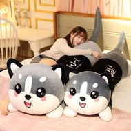 Round Face Cat Teddy Bear Ha Thanh Shop Teddy Bear - Super Huge, Soft Husky Cat Teddy Bear.