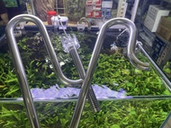 IN OUT INOX CÓ HÚT VÁNG PHI 16 WEEK AQUA (đầu váng xoay)