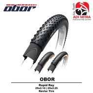 Rapid Ray 29 Inch Kevlar Tire Bicycle Tire