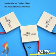 PA-HOME Refrigeration Plate, 30x30mm 15x30mm Semiconductor Cooling Sheet,  TES1-12704 40x40mm TES1-0