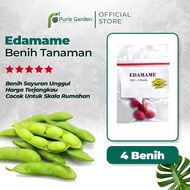 Soybean Edamame Seeds 4 Seeds