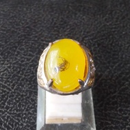 Cincin Batu Akik Amber Katilayu Semut