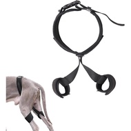 Dog Hip Support Brace,Hip Dysplasia Brace for Dogs,Dog Hip Dysplasia Brace,Dog Leg Knee Braces for B