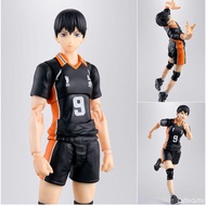 26 January S.H.F Volleyball Boy Kageyama Feixo