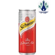 Schweppes Dry Ginger Ale Can 320ml