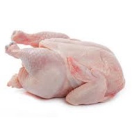 ayem Seger super halal 2.3 to 2.4 kg potong sahaja fresh