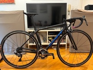 Giant tcr 2022 全車