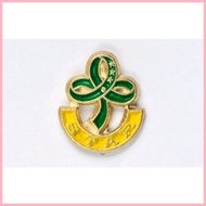 ◸ ✈ ✢ GSP PINS (twinkler, star, junior, senior, cadet,troop leader pin, WORLD PIN, GSP LOGO PIN)