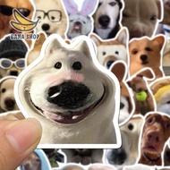 Set of 50 funny doge cheems dog meme stickers