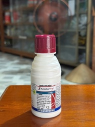 Amistar Top 325SC ( 100 ml ) - Ngừa lem lép hạt thán thư