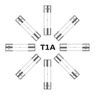 5x20MM 1A 250V Slow Blow Glass Fuses 1 Amp 250 Volt 0.2 x 0.78 Inch Slow-Acting Time-delay Fuse T1AL