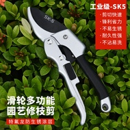 Pruning Shears Fruit Tree Shears Flower Shears Gardening Shears Floral Pruning Shears Branch Shears 