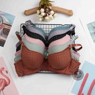 Sunny Cup A Polka Dots Push Up Bra Size: 32-38A 7716