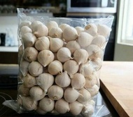 Bawang Lanang  Harga Borong Bawang Putih Tunggal