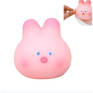 Squishy Stress Relief Decompression Toy for Anxious People Pig Head Toy