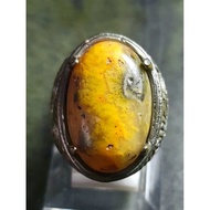 Bumble Bee Jasper