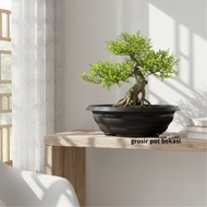 (2pc) AZALEA BONSAI 25 (24cm) BLACK: Flat bonsai flower Pot with beautiful wasp motif