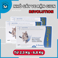 3 ống REVOLUTION nhỏ gáy ve rận giun mèo 2.3-6.8kg